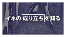 Cl̐藧m