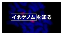 ClQmm