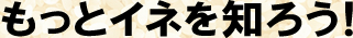 ƃClm낤I