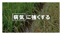 aCɋ