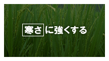 ɋ