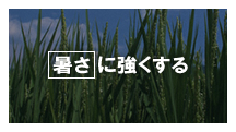ɋ