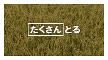 Ƃ
