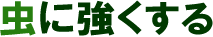 ɋ