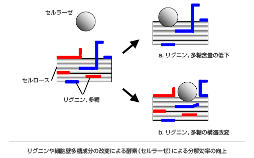 OjזEǑ̉ςɂyfiZ[[jɂ镪̌