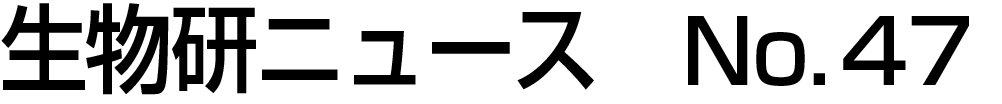 j[XNo.47