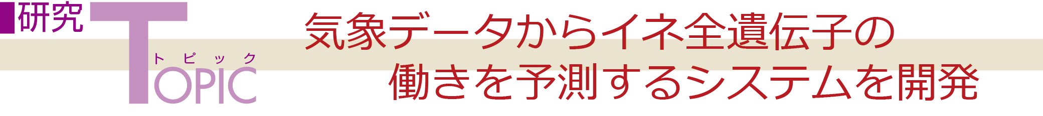 gsbNFCۃf[^ClS`q̓\VXeJ