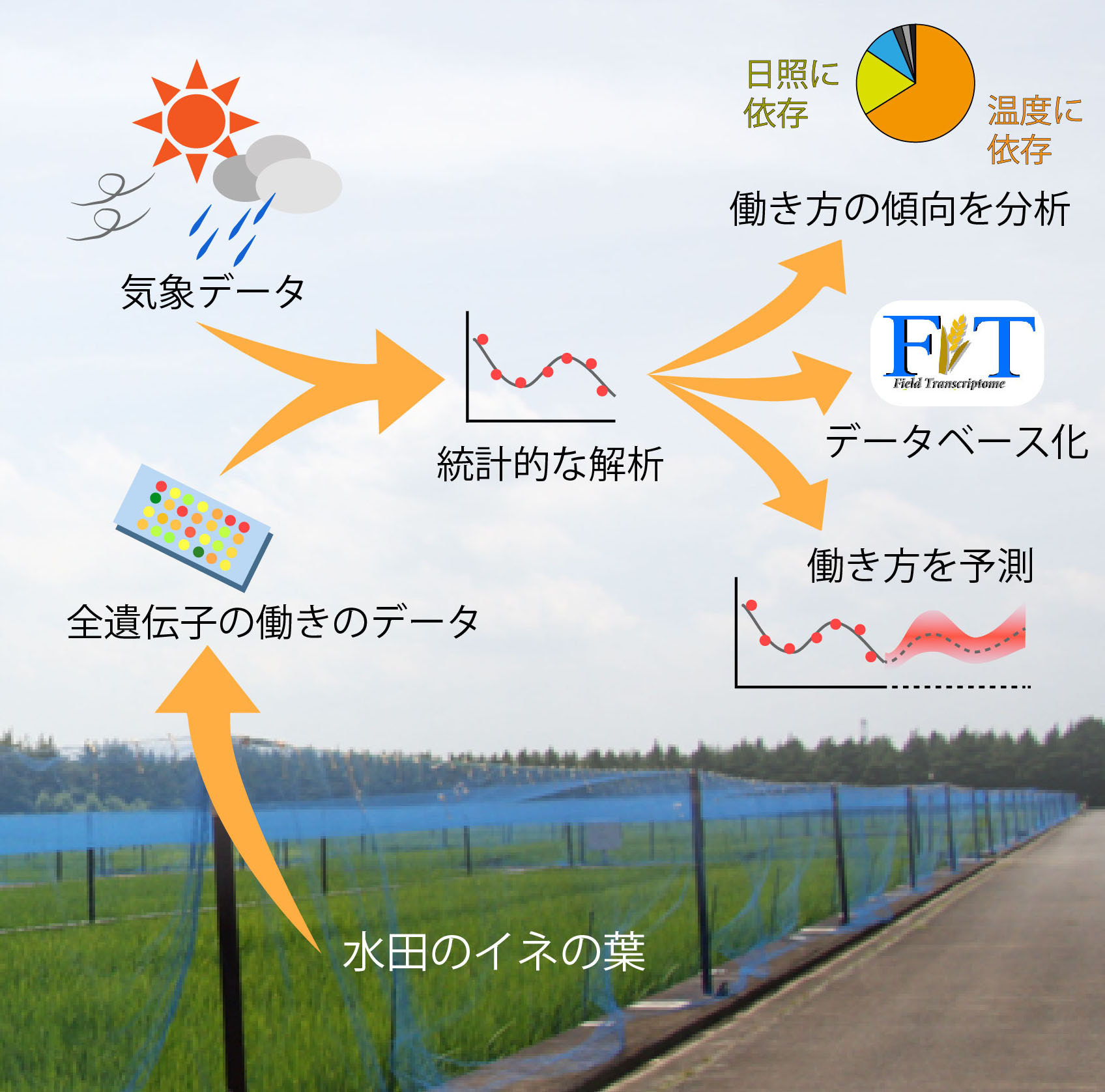 ̊Tv