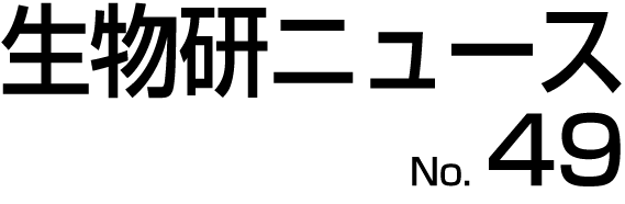 j[XNo.48