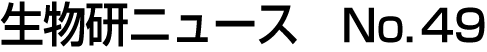 j[XNo.49