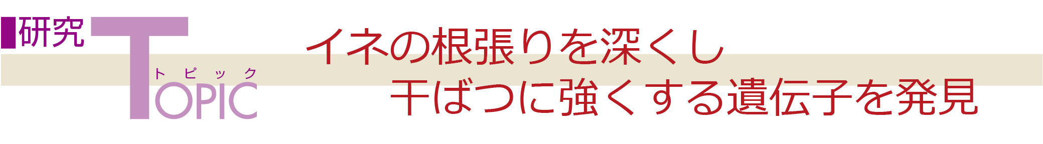 gsbNFCl̍[΂ɋ`q𔭌