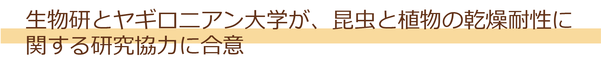 ƃMjAwAƐÅϐɊւ錤͂ɍ