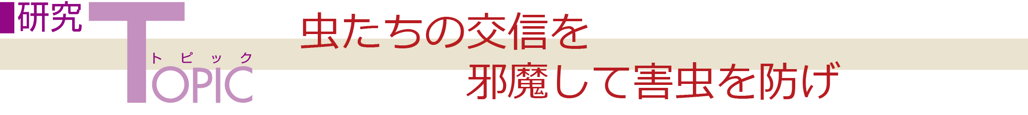 研究トピック:虫たちの交信を邪魔して害虫を防げ
