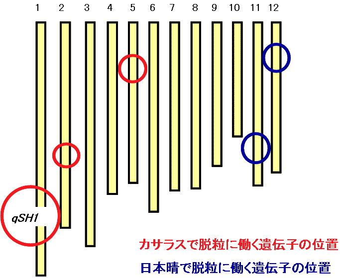 }Q {ƃJTX̌GieQWcjppsk