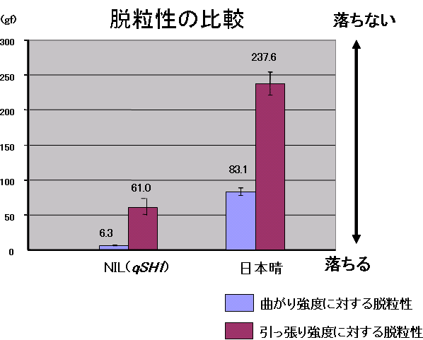 }R `qn(NIL)pqSH1P`qPƂ̌ʁiEւ̉ej
