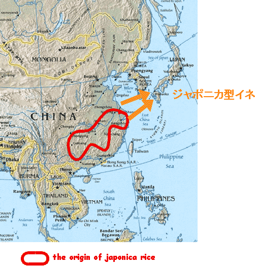 }V ȆřƂȂzψق̋N