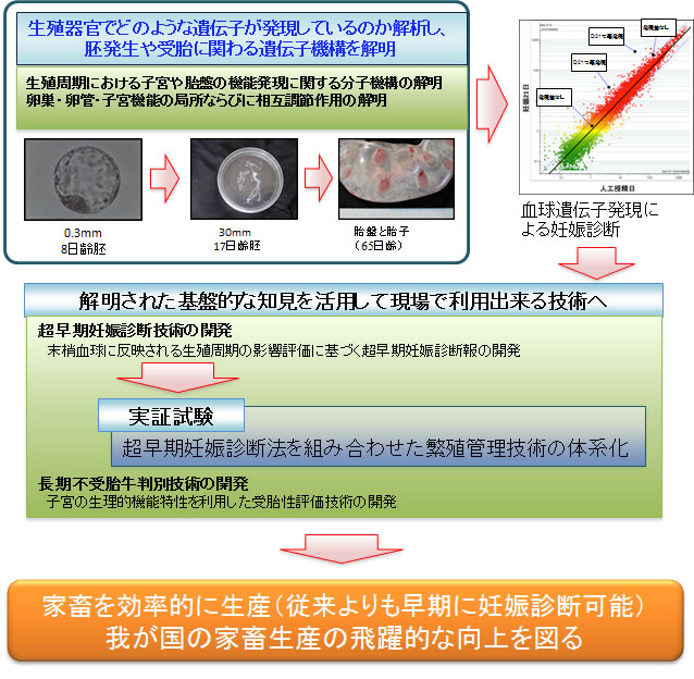 ̌ł͋̐B튯łǂ̂悤Ȉ`qĂ̂͂A󔭐قɊւ`q@\𖾂A𖾂ꂽbIȒmpČŗpoZpւƐi߂邱ƂɂAƒ{IɐYA䂪̉ƒ{Y̔IȌ}̂łB