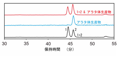 図３　アラタ体生産物の構造のGC-MSによる確定。　　化合物１，２の混合物（黒）、アラタ体生産物（青）、および両者の混合物（赤）の分析結果を示す。縦軸はm/z=300の検出強度を示す。