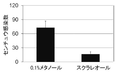 図3 スクラレオールによるネコブセンチュウ感染の抑制 スクラレオールをトマトの根に与え、2日後にネコブセンチュウを根に接種し、侵入したセンチュウの数を計測した。