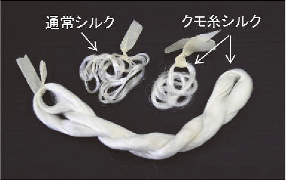 図2　通常シルクとクモ糸シルクの生糸