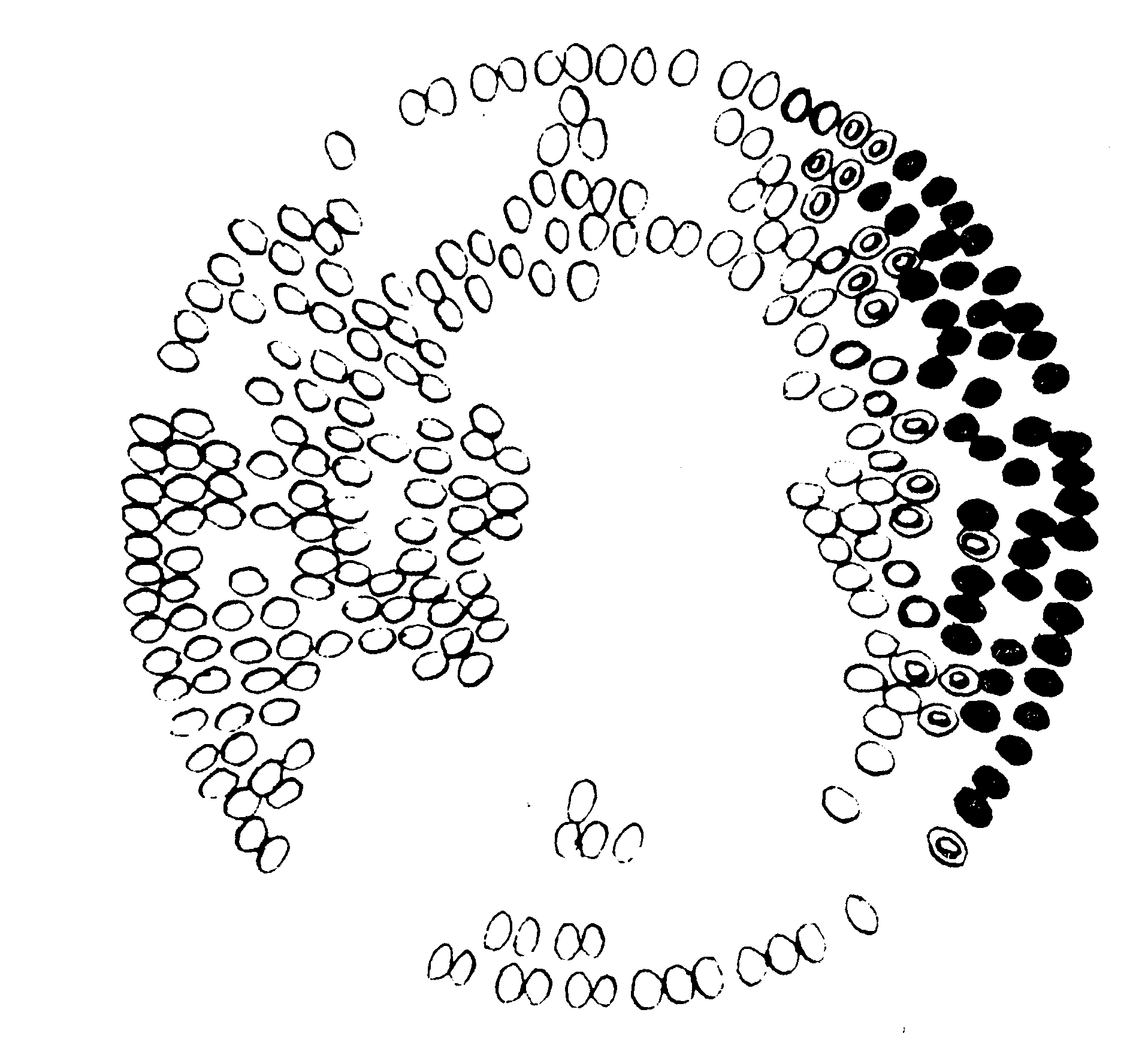 fig30.GIF