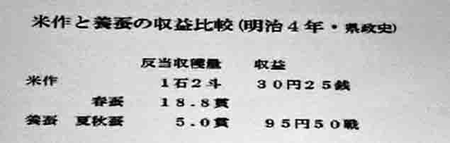 クリスマスファッション 伊那の蚕糸業発展における先人の知恵と努力 和書