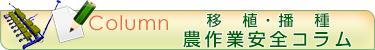 移植・播種のコラム