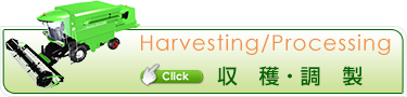 収穫