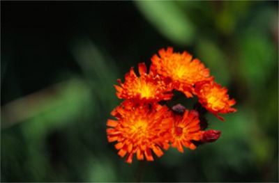 �R�E�����^���|�|