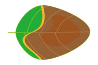 葉枯れの図