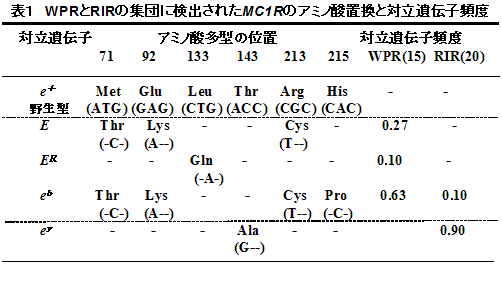 表１　WPRとRIRの集団に検出されたMC1Rのアミノ酸置換と対立遺伝子頻度