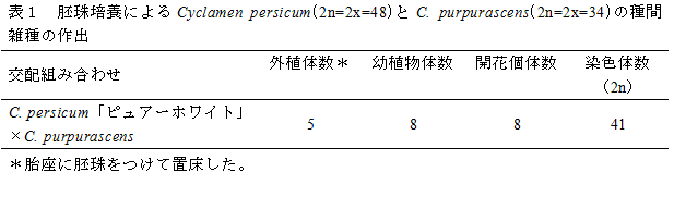 表１　胚珠培養によるCyclamen persicum(2n=2x=48)とC. purpurascens(2n=2x=34)の種間雑種の作出