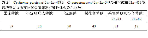 表２　Cyclamen persicum(2n=2x=48)とC. purpurascens(2n=2x=34)の種間雑種(2n=41)の葯培養による植物体の育成及び植物体の染色体数