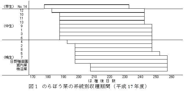 図１　のらぼう菜の系統別収穫期間（平成17年度）