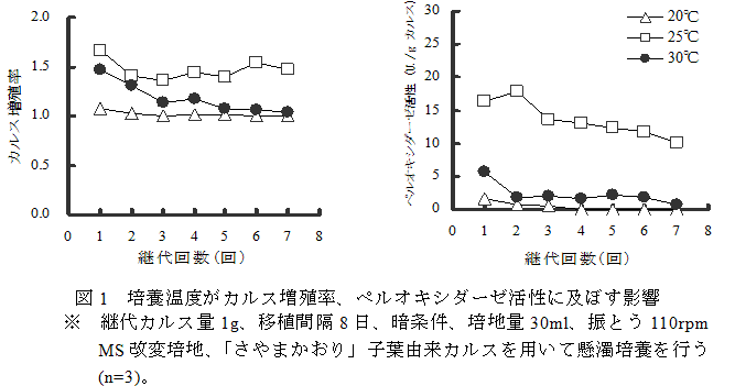 図1　培養温度がカルス増殖率、ペルオキシダーゼ活性に及ぼす影響