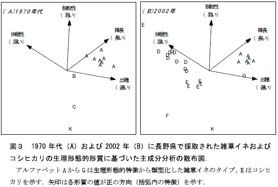 図３　1970年代（A）および2002年（B）に長野県で採取された雑草イネおよびコシヒカリの生理形態的形質に基づいた主成分分析の散布図．