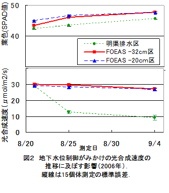 図２　地下水位制御がみかけの光合成速度の推移に及ぼす影響（2006年）．縦線は15個体測定の標準誤差．