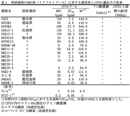 表１　供試菌株のDMI剤（トリフルミゾール）に対する感受性とCYP51 遺伝子の変異