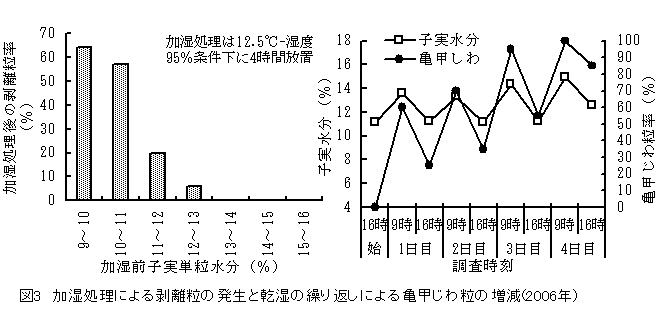 図3　加湿処理による剥離粒の発生と乾湿の繰り返しによる亀甲じわ粒の増減(2006年）