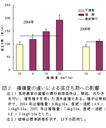 図２　播種量の違いによる苗立ち数への影響