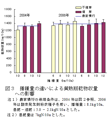 図３　播種量の違いによる黄熟期乾物収量への影響