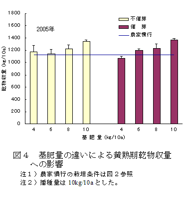 図４　基肥量の違いによる黄熟期乾物収量への影響