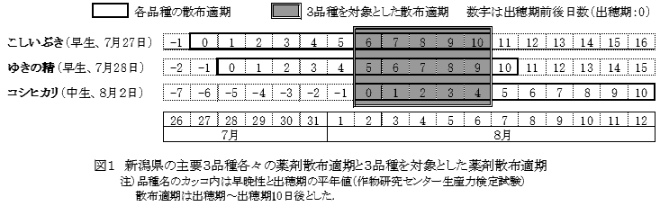 図１　新潟県の主要３品種各々の薬剤散布適期と３品種を対象とした薬剤散布適期