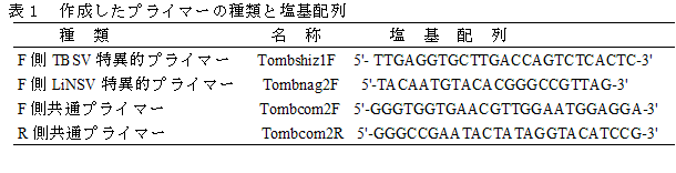 表１　作成したプライマーの種類と塩基配列
