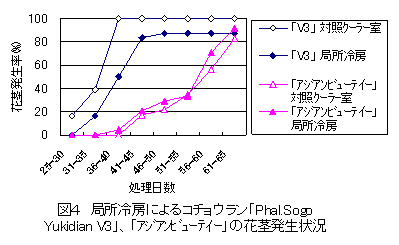 図４　局所冷房によるコチョウラン「Phal.Sogo Yukidian V3」、「ｱｼﾞｱﾝﾋﾞｭｰﾃｲｰ」の花茎発生状況