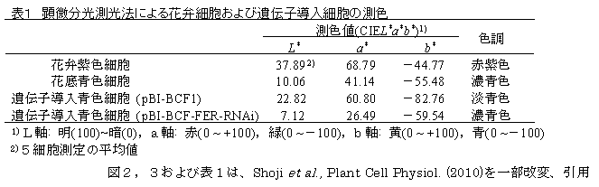 表１　顕微分光測光法による花弁細胞および遺伝子導入細胞の測色