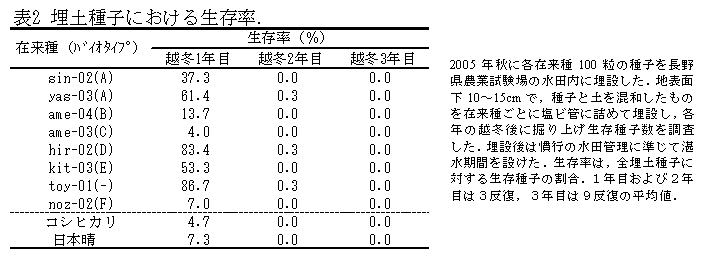 表2 埋土種子における生存率