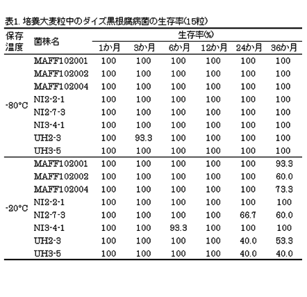 表１　培養大麦粒中の大豆黒根腐病菌の生存率（15粒）