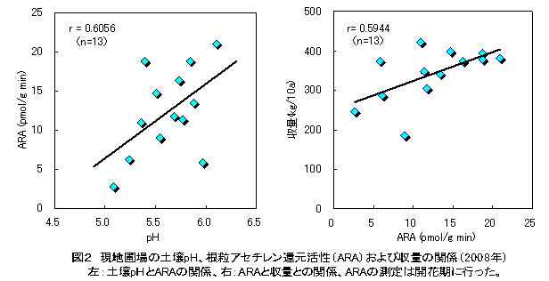 図２　現地圃場の土壌pH、根粒アセチレン還元活性（ARA）および収量の関係（2008年）