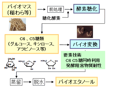 >炩̍G^m[YvZX